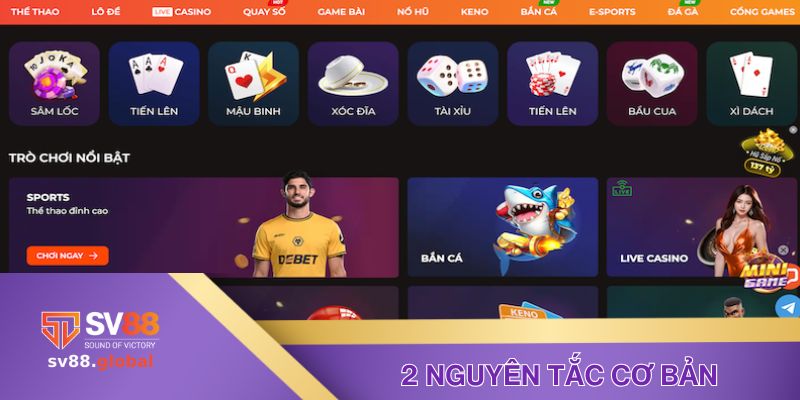 2 nguyên tắc cơ bản trong sử dụng dịch vụ tại SV88