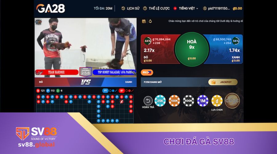 Chơi đá gà siêu hấp dẫn tại SV88