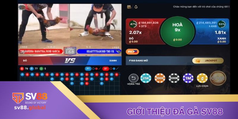 Giới thiệu Đà gà SV88